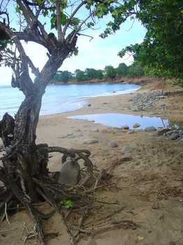 Anse Des Iles