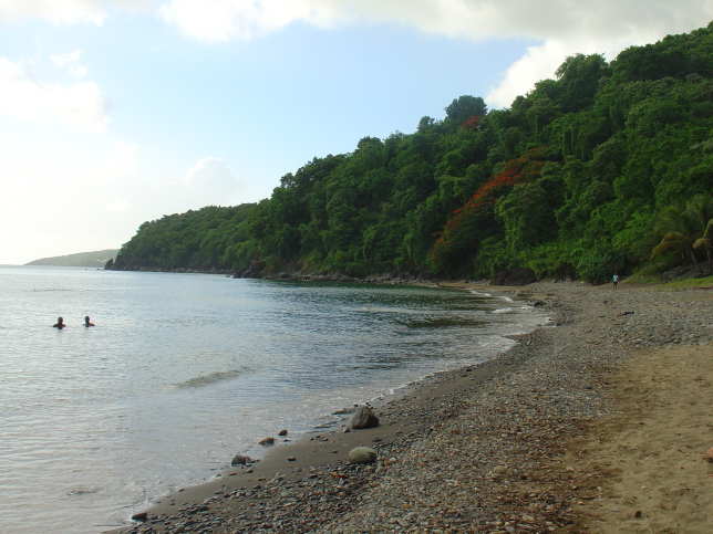 Plage Caraibe