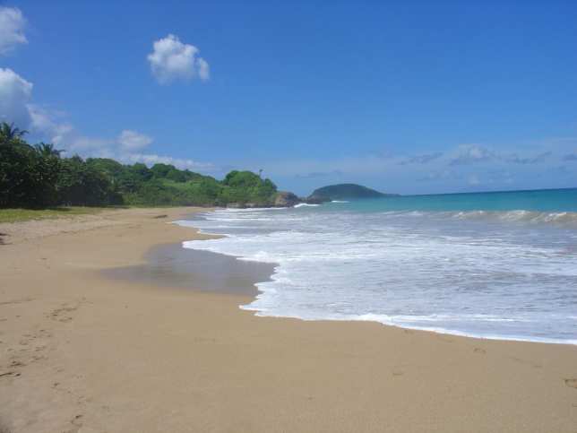 Plage de Cluny