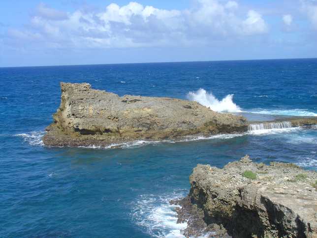 Porte Des Enfers du Moule