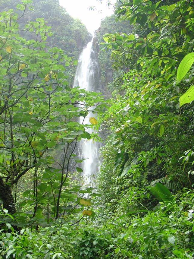 Chute Du Carbet