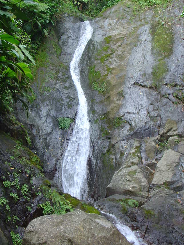 Chute Du Carbet